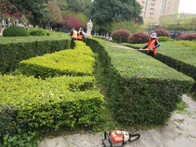 天水建设路绿化工程招标